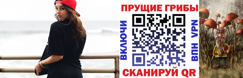 купить наркоту  darknet формула  мега ССЫЛКА  Галлюциногенные грибы мухоморы  Кунгур 