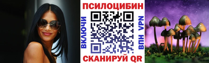 Псилоцибиновые грибы Cubensis Кунгур